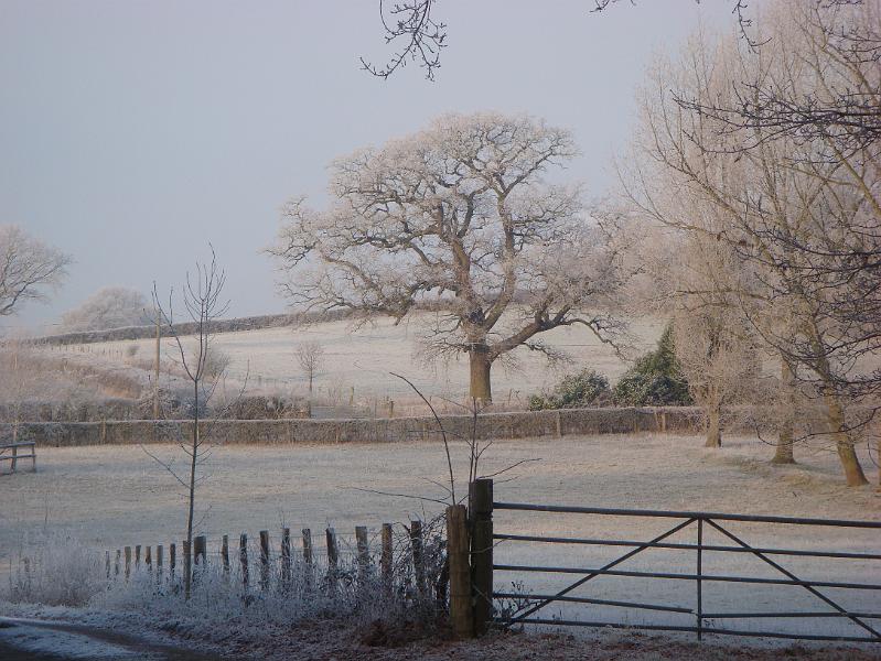 Wychcroft 2009 004.jpg